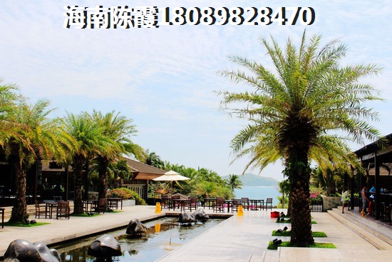 如今龙禧湾·偶寓醉新价格是多少？