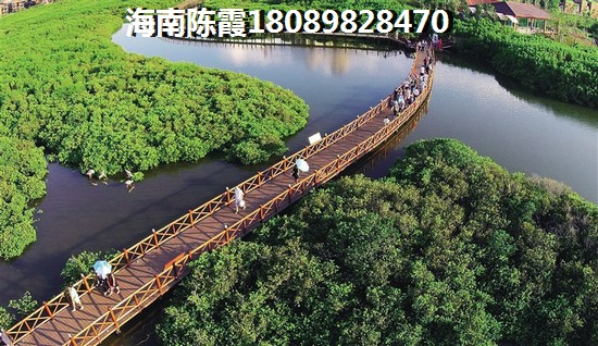 龙须莱怎么炒好吃