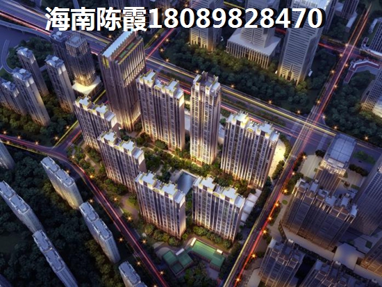 林渡村荷花池风景