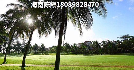 重返未来游戏
