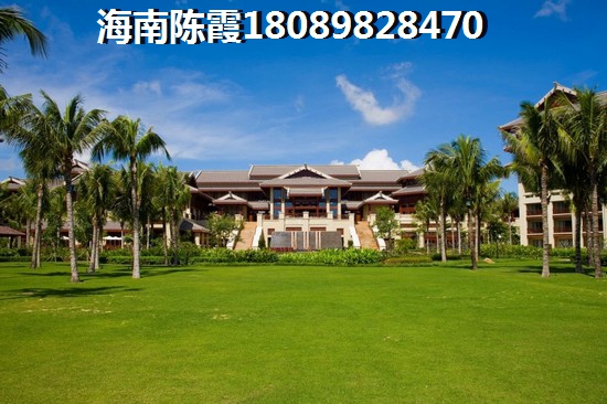 深圳西部有什么景点吗