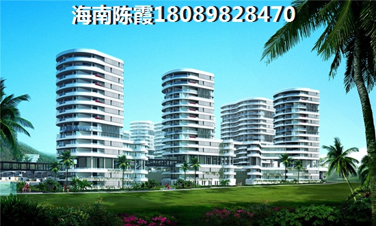 黄金海岸能生纸吗？